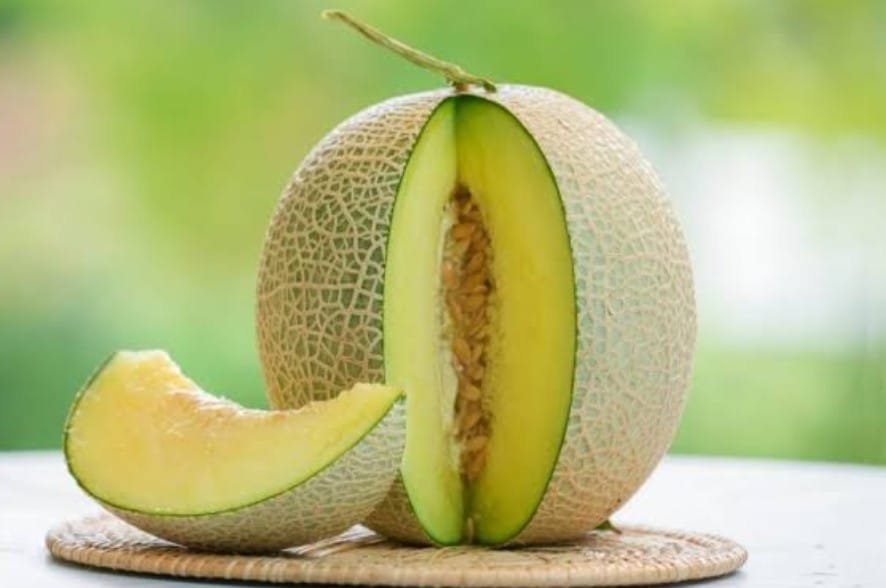 Manfaat Buah Melon untuk Kesehatan Panduan Lengkap