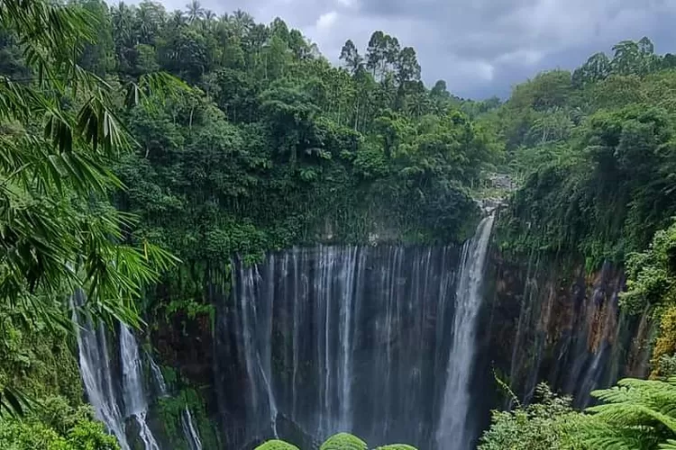 Melihat Keindahan Air Terjun Trap Sewu di Lumajang 18 Agustus 2024 – Di tengah pesona alam yang memukau di Jawa Timur