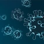 Virus HKU5