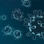 Virus HKU5