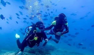 Rekomendasi Tempat Menyelam di Bali: Panduan Destinasi Terbaik