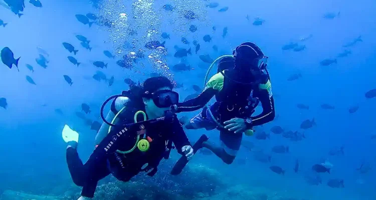 Rekomendasi Tempat Menyelam di Bali: Panduan Destinasi Terbaik