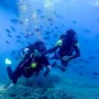Rekomendasi Tempat Menyelam di Bali: Panduan Destinasi Terbaik